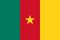 bandiera-camerun